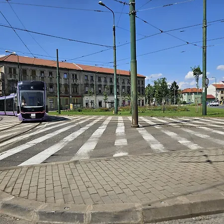 Sweet Self Check-in Temešvár