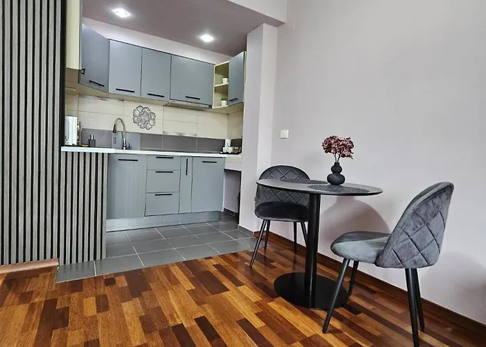 Sweet Self Check-in Apartmán Temešvár